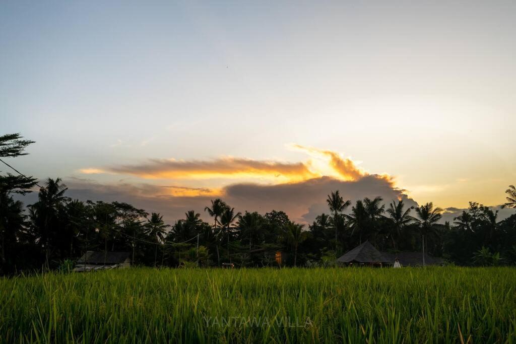 Beautiful 3 Bedroom Jungle View Ubud Exterior foto